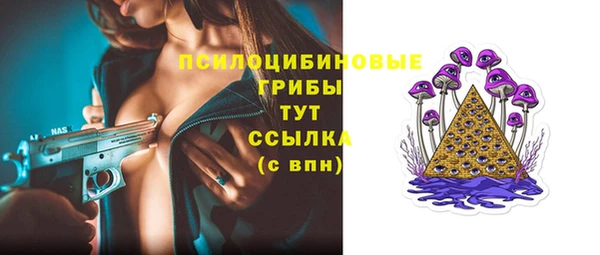 дживик Новодвинск