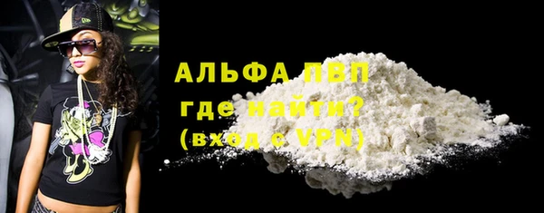 индика Болотное