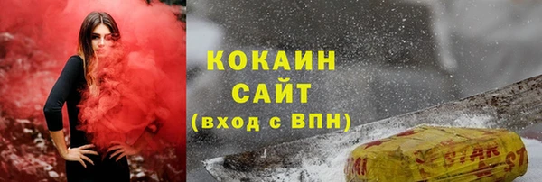 дживик Новодвинск