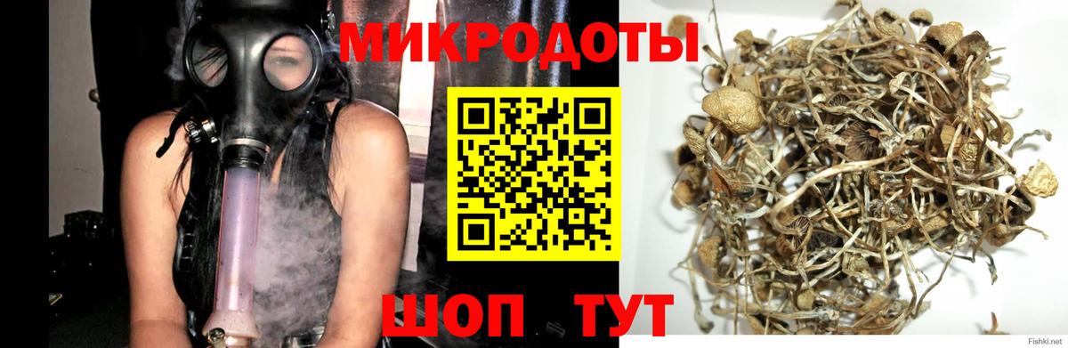 Псилоцибиновые грибы мицелий  Вход с VPN  Конаково 