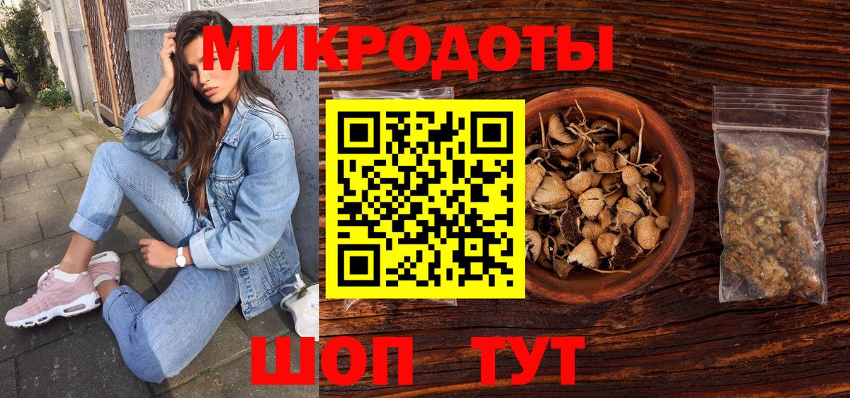 Галлюциногенные грибы Psilocybine cubensis Конаково